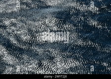 Wind blows texture and shape making ripple patterns on dark, emerald, Prussian blue water with specular highlights from the sun on Sydney Harbour Stock Photo