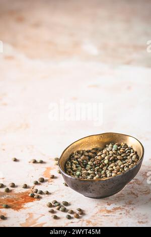 French puy lentils in a small bowl on light background, vertical with copy space Stock Photo