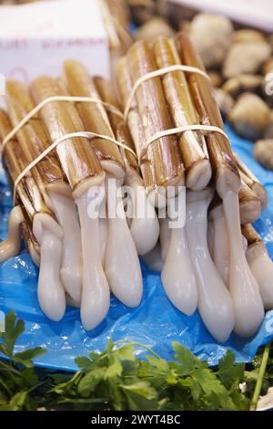 Razor shells, fish shop in central market, Valencia. Comunidad Valenciana, Spain. Stock Photo