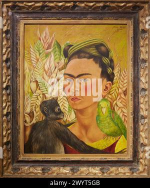 Autorretrato con chango y loro. Frida Kahlo. Museo de Arte Latinoamericano de Buenos Aires. MALBA. Fundación Costantini. Buenos Aires. Argentina. Stock Photo