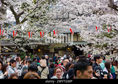 TOKYO, JAPAN - APRIL 06 2024: Crowds of people celebrating Hanami ...