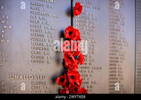 Canberra, Australia - October 22, 2009 : Australian War Memorial. Poppy flowers placed on the Wall of Honour, World War One section. Stock Photo