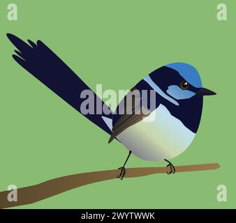 A very cute superb fairy wren bird in the shape of an egg. Green background. The bird sits on a branch. Stock Vector