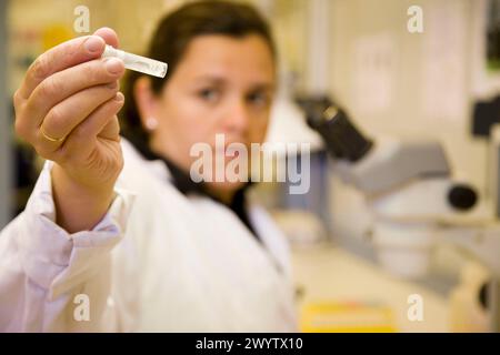 Water Samples. Plankton Laboratory. Azti-tecnalia. Technological Centre 