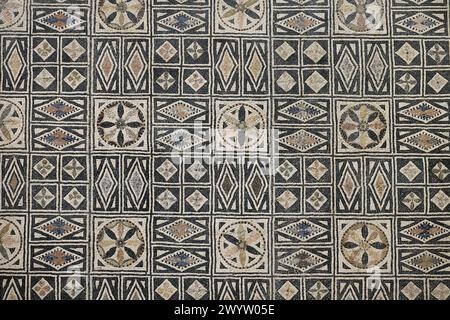 Floor Polychrome mosaic from Beverara area, Bologna, Italy Stock Photo