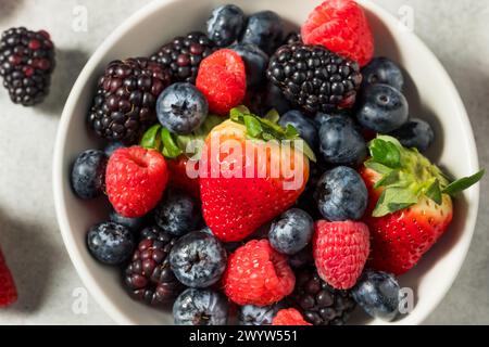 Organic Raw Mixed Berries with Blueberries Strawberries and Raspberries Stock Photo