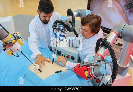 Development of a surgical robot with 3D vision and tactile sensations. This project has relied on the advice of surgeons for the design and manufacture of the device. The aim of this collaboration between engineers and doctors it was to provide benefits and added value in the field of laparoscopic surgery. The robot comprises three arms that can operate both as a coordinated individually and therefore the surgeon may adapt according to the needs of each operation. Powered by Tecnalia Research & Innovation, University of Córdoba and the Institute of Biomedical Research Maimonides of Cordoba (IM Stock Photo