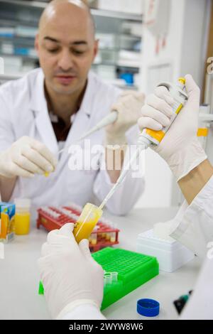 Molecular Biology Laboratory. Preparing Samples To Detect The Addition 