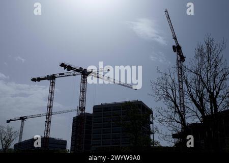 Vier Baukraene stehen auf einer Baustelle in Berlin, 08.04.2024. Berlin Deutschland *** Four construction cranes standing on a building site in Berlin Stock Photo
