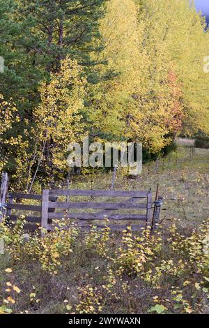 Old Farm Gate, Autumn Trees and Abandoned Field Stock Photo