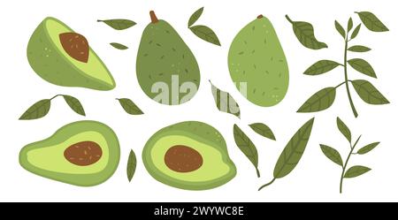 Avocado with leaves set isolated on white background. Whole and halved avocado and greens. Vector flat hand drawn illustration Stock Vector