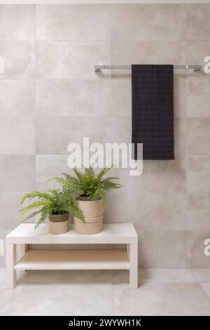 Detail of a bathroom interior. A hanging towel and two small plants underneath.  Image with space to write. Stock Photo
