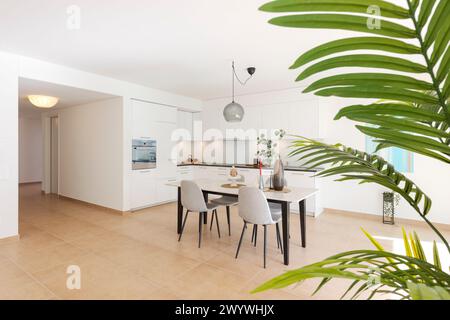 interior of modern furnished flat with open kitchen and large dining room. A table with four chairs and the sun coming in directly from the left.  Gre Stock Photo