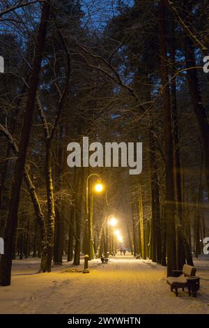 Path in a winter evening park. Beautiful winter landscape. Lantern light. Stock Photo