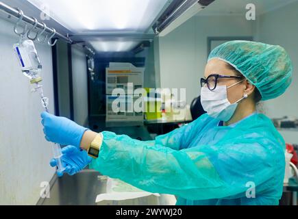 Preparation of drugs in laminar flow hood, epidural anesthesia, Clean room, Pharmacy, Hospital Donostia, San Sebastian, Gipuzkoa, Basque Country, Spain. Stock Photo