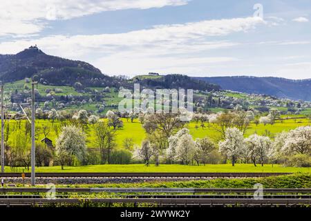 Neubaustrecke der Bahn von Wendlingen nach Ulm. Streckenabschnitt bei Kirchheim unter Teck. // 06.04.2024: Kirchheim unter Teck, Baden-Württemberg, Deutschland, Europa *** New railroad line from Wendlingen to Ulm section near Kirchheim unter Teck 06 04 2024 Kirchheim unter Teck, Baden Württemberg, Germany, Europe Stock Photo