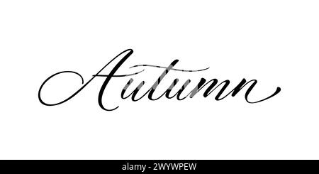 Autumn - Handwritten text in calligraphic style on a white background. Vector illustration. Stock Vector