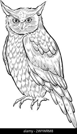 Owl vector illustration. Sitting night Bird painted by black inks in outline style. Drawing of forest Animal with for icon or logo. Drawing of the symbol of wisdom in fairy tales. Sketch of owlet. Stock Vector