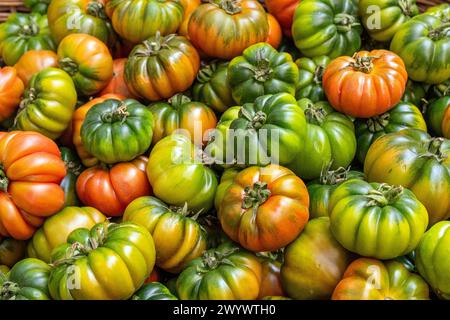 Beefsteak tomatoes in different colors for sale at a market Stock Photo