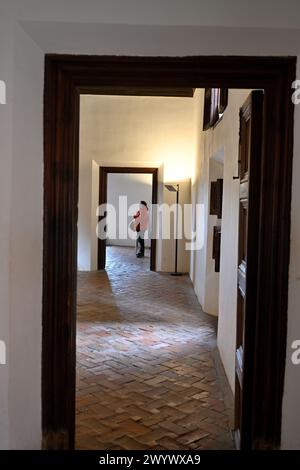 Long tunnel like hall with open doorways and silhouette of figure in red coat at far end Stock Photo