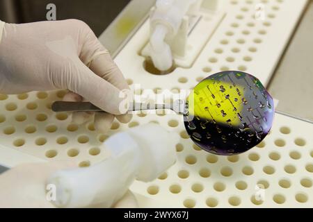 Silicon wafer, curing of PDMS microfluidic devices for manufacture ...