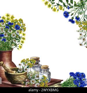 A frame with medicinal herbs cornflower, chamomile and tansy. Dried, crushed in glass bottles and a wooden pot. Mortar and pestle for grinding. A hand Stock Photo