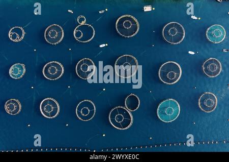 Round cages of a fish farm in the sea, fenced with buoys. Top view Stock Photo