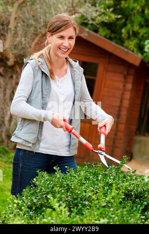 Woman with pruning shears cutting the hedge. Garden. Stock Photo