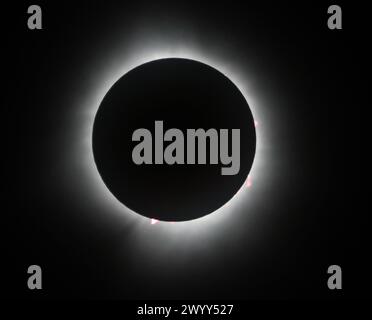 Indianapolis, United States. 08th Apr, 2024. The suns' corona and solar flares appeared during totality of the eclipse on April 8, 2024, in Indianapolis, Indiana. Photo by Edwin Locke/UPI Credit: UPI/Alamy Live News Stock Photo