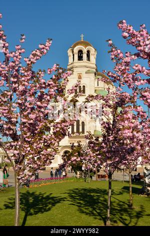 Alexander Nevski Catedral, Alexander Nevsky, Orthodox, Cathedral, sakura, cherry blossom trees, cherry tree flowering, cherry flowers, Sofia Bulgaria Stock Photo