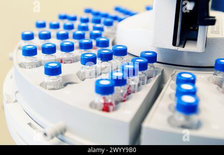 Gas chromatographer with thermal conductivity detector (TCD), electron ...