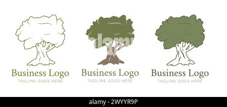 Nice Old Olive Oil Tree Set Stock Vector