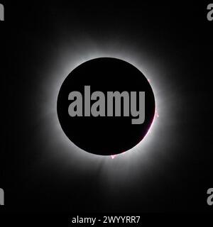 Dallas, United States Of America. 08th Apr, 2024. Dallas, United States of America. 08 April, 2024. The Suns corona can be seen as the moon completely covers the front of the Sun during the solar eclipse totality, April 8, 2024, in Dallas, Texas. A total solar eclipse swept across a narrow portion of the North American continent from Mexico to the Atlantic coast of Newfoundland, Canada. Credit: Keegan Barber/NASA/Ģ����ý Live News Stock Photo