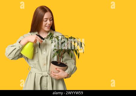 Pretty young woman with houseplant and water sprayer on yellow background Stock Photo