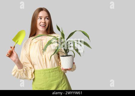 Pretty young woman with houseplant and gardening tool on grey background Stock Photo