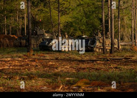 A M2A4 Bradley Fighting Vehicle and two M113 Armored Personnel Carriers, all assigned to 2nd Battalion, 7th Infantry Regiment, 1st Armored Brigade Combat Team, 3rd Infantry Division, pull security during a situational training exercise, Marne Focus, at Fort Stewart, Georgia, April 7, 2024. Marne Focus is a key component of the division’s efforts to train and equip forces to maintain our competitive advantage, and fight and win in conflict. (U.S. Army photo by Sgt. Duke Edwards) Stock Photo