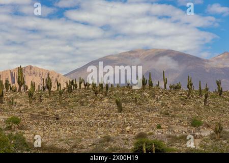 Panoramic view of Pucara de Tilcara ruins in Jujuy, Argentina. Stock Photo