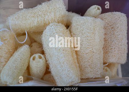 Luffa scrub, Natural Loofah Exfoliating Sponge, Bath Body Organic Scrub Wash Skin Shower Luffa Loofah Sensitive Brush for Women Stock Photo