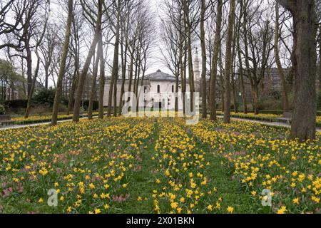 Grande mosquee de Bruxelle / Grote Moskee van Brussel (Great Mosque of Brussels) in Parc du Cinquantenaire / Jubelpark in Brussels, Belgium © Wojciech Stock Photo