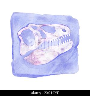 Fossil of Tyrannosaurus rex skull dinosaur in rock . Watercolor paint design . Vector . Stock Vector