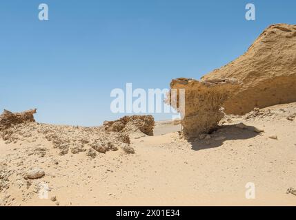 Landscape scenic view of desolate barren western desert in Egypt with geological sandstone rock formations and fossilised mangrove trees Stock Photo