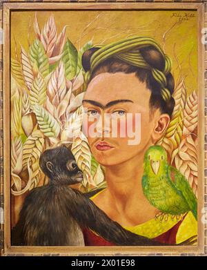 'Autorretrato con chango y loro'. Frida Kahlo. Museo de Arte Latinoamericano de Buenos Aires. MALBA. Fundación Costantini. Buenos Aires. Argentina Stock Photo