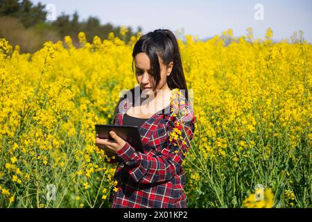 Female agro technician working in a flowering Brassica napus to control pests and crop diseases Stock Photo