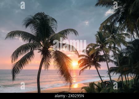 Sunset over Indian ocean. Coconut palm trees on sand beach in south coast of Sri Lanka. Stock Photo