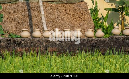 A row of recently thrown pots dries in the sun on a brick wall by a rice field in front of a haystack. Stock Photo
