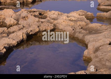 Rocky coast in Bugibba, Malta, Mediterranean, Europe Stock Photo