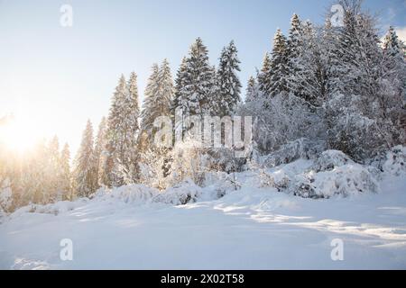 Wintertime With Big Snow In The Bavarian Alps, Garmish-partenkirchen 