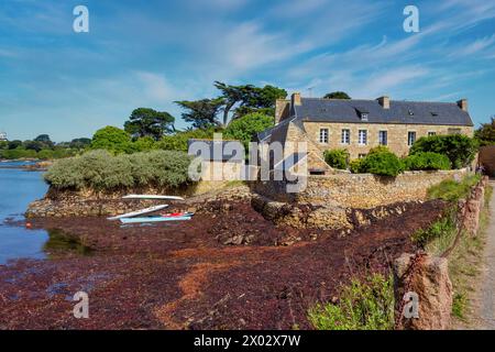 Cottage, Ile-de-Brehat, Cotes-d'Armor, Brittany, France, Europe Stock Photo