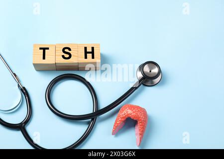 Endocrinology. Stethoscope, wooden cubes with thyroid hormones and model of gland on light blue background Stock Photo