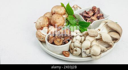 Assortment of various mushrooms - fresh, dried and pickled. Oyster mushrooms, brown cremini, porcini and shiitake. Healthy ingredient for cooking vega Stock Photo
